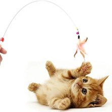 Hakay Renkli Tüylü Kedi Oltası - Eğlenceli Oyun Aracı