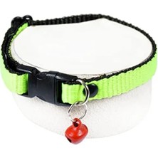 Hakay Ayarlı Fıstık Yeşili Neon Kedi Tasması