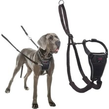 Hakay Çekme Önleyici Göğüs Tasması, Büyük Boy