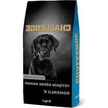 Hakay Somonlu Yetişkin Köpek Maması, 15 kg