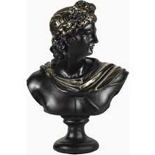 Vivense Apollo Büst Siyah Gold