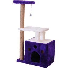 Hakay Dayanıklı Kedi Tırmalama, Gordion Modeli, Mor