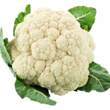 Hakay Karnabahar Tohumu (Çoklu) - 5 Gram