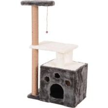 Hakay Dayanıklı Kedi Tırmalama, Gordion Model, Gri