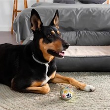 Hakay Renkli Pati Desenli Orta Boy Tenis Topu - 6.5 Cm, Dayanıklı, Diş Dostu