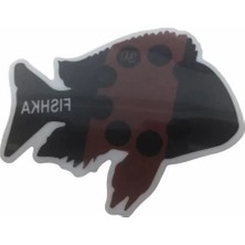 Hakay Akvaryum Için Yapışkan Tropheus Balığı Derece