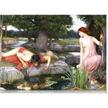 Hakay Echo ve Narcissus Temalı 2000 Parça Puzzle