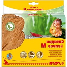 Hakay Kaliteli Catappa Yaprağı, M Boyut (18 Cm) - 10 Adet