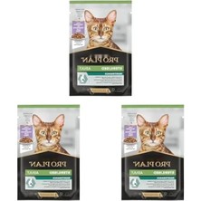 Hakay Hindili Yaş Mama, Kısırlaştırılmış Kediler Için, 85 Gram (3 Paket)