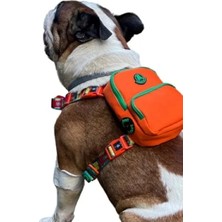 Hakay Turuncu Çantalı Göğüs Tasması - Geri Dönüştürülmüş Malzeme, Ayarlanabilir