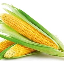 Hakay Tatlı Mısır Tohumu - 10 Gram