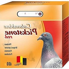 Hakay Güvercinler Için Mineral Destek - Kalkerli Deniz Kabukları, Kızıl Kum