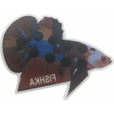 Hakay Akvaryum Için Yapışkan Beta Balığı Derece