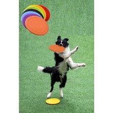 Hakay Dayanıklı Silikon Frizbi Köpek Oyuncağı 17.5 cm - Esnek ve Güvenli
