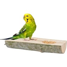 Hakay Doğal Ağaç Kuş Tüneği ve Yemlik Kütük Tasarımı