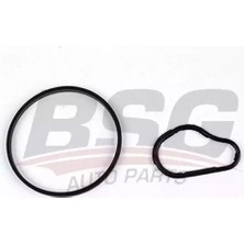 Gutsy Peugeot Conta P301 Vakum Pompa Contası DV6C 455624