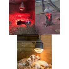 Ematcrt 250W Kızılötesi (Infrared) Isıtıcılı Hayvan Isıtma ve Kuluçka Lambası (Kırmızı Işık) E27 (Kalın Duy) ( Lisinya )