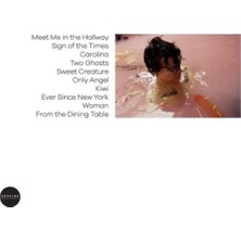 Plak İstasyonu (Plak Değildir Kaset Tir) Harry Styles Harry Styles Double Lp Plak