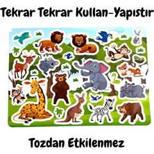Markaon Üreticiniz Kullanılabilen Sticker Animal Paradise YN1348