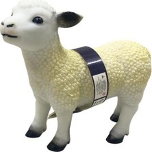 Markaon Üreticiniz Çiftlik Hayvanları YN1348