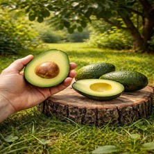 Bahcemden Online Hass Avokado beybi 3 kg (100 gr altı)