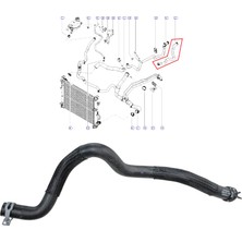 Gutsy Renault Grup Kalorıfer Su Hortumu Dacaı Lodgy