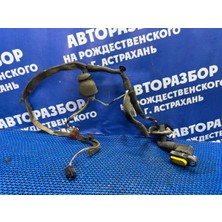 Gutsy Renault Kapı Tesısatı Clıo Iı - Symbol