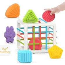 Markaon Üreticiniz HE0211 Lastikli Bultak Küp YN1348