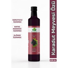 Dr. Natural Karadut Özü 670 Gr.