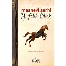 Sufi Kitap Mesnevi Şerhi