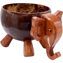 WoodBay Hindistan Cevizi Coconut Fil Kase Ayaklı Coconat Şekerlik