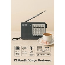 L'edoren Tecsun R-9012 Taşınabilir Analog Radyo Kısa Dalga Fm Stereo Alıcı Fm/mw/sw 12 Bantlı Dünya Radyosu