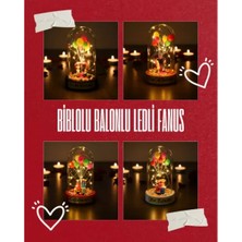 Pazarcan Biblolu Balonlu Ledli Fanus