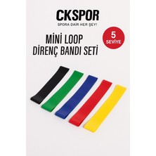 PremiumPort 5'li Renkli Direnç Bandı Egzersiz Seti, Mini Loop Lastikleri