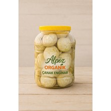 Taze Çanak Aydın Cinsi Enginar 10 Adet (Büyük Boy)