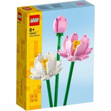LTG Nova 40647 Iconic Botanical Lotus Çiçekleri 220 Parça +8 Yaş