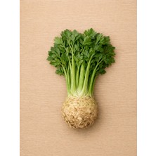 Kereviz 1 kg Taze Hasat