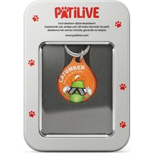Patilive Qr Kodlu Evcil Hayvan Künyesi Catumber Kedi Köpek Isimliği