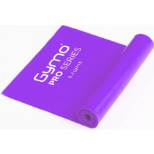 PremiumPort Esneklik ve Güç Artırıcı Pilates ve Yoga Direnç Bandı, Hafif ve Dayanıklı