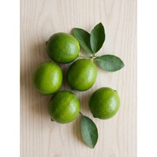 Lime Limon 4.5 kg Kasa Taze Hasat