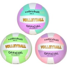 Esranın Dünyası Voleybol Topu Not - 172