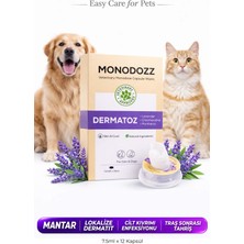 Dermatoz Push Up Capsule Wipes | Kedi Köpek Mantar, Bakteriyel, Cilt Onarıcı Dermokozmetik Mendil
