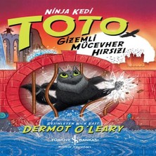 Decostyle Ninja Kedi Toto – Mücevher Hırsızı