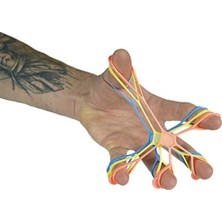 Calperia Silikon El Ekstiyon Lastiği Seti - 3 Farklı Sertlikte