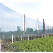 Calperia %55 Gölgeleme Kapasitesine Sahip Yeşil Gölgelik File - 4 M x 5 M