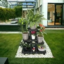 Calperia Ahşap (Çam) Siyah 4 Katlı Bitki Standı, Kilitlenebilir Tekerlekler ve Mini Bahçe Seti