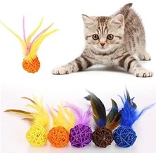 Calperia 2'li Rattan Renkli Peluş Tüy Kedi ve Köpek Oyuncakları