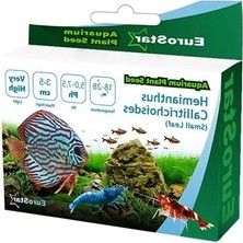 Calperia Hemianthus Callitrichoides Akvaryum Bitkisi Tohumu