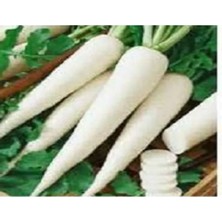 Calperia Japan Turp Tohumu - 10 gr