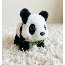 Kids Sevimli Panda, Pilli, Hareketli, Sesli Panda, Ağzında Yeşil Otu ile Sevimli Panda